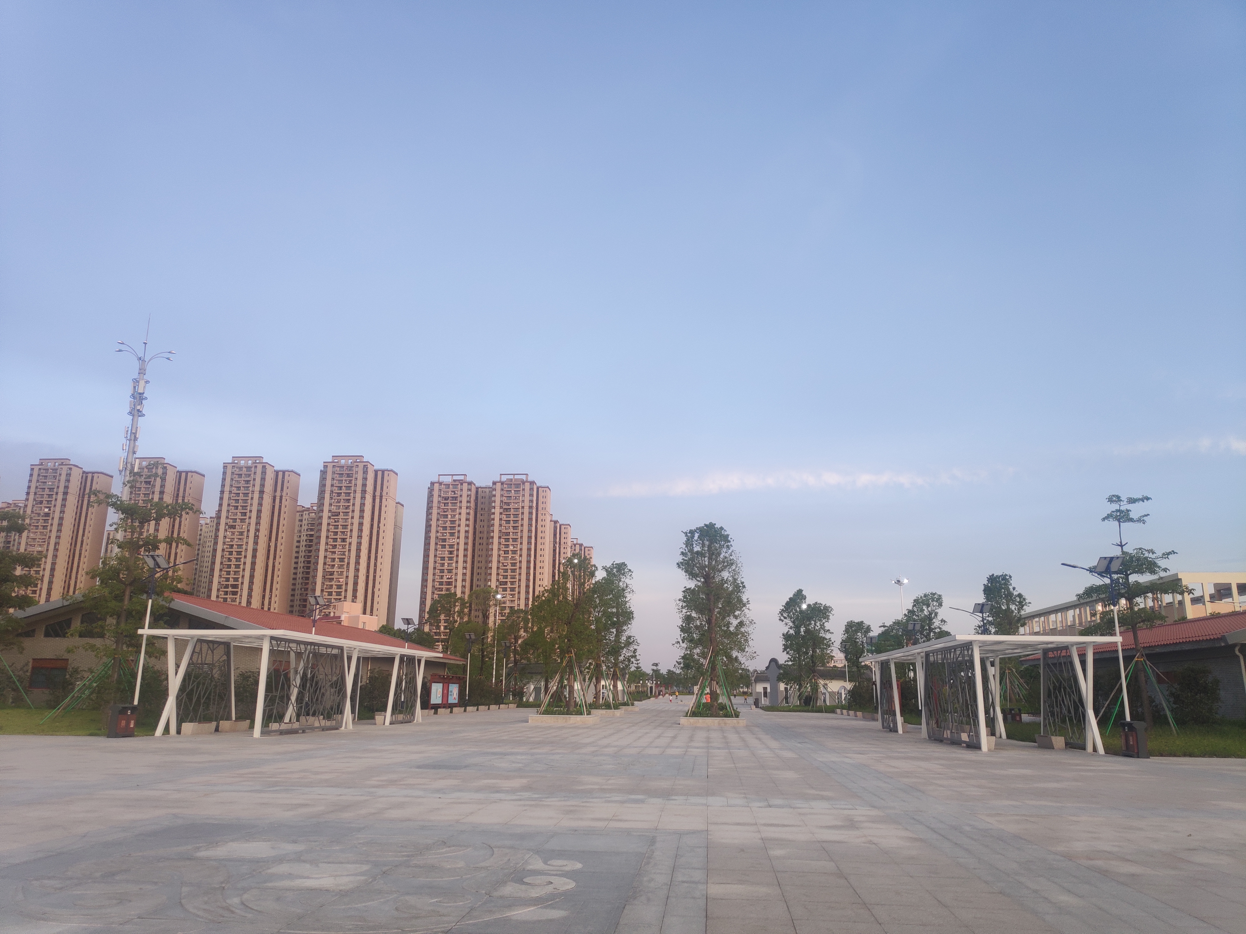 有为广场路中间