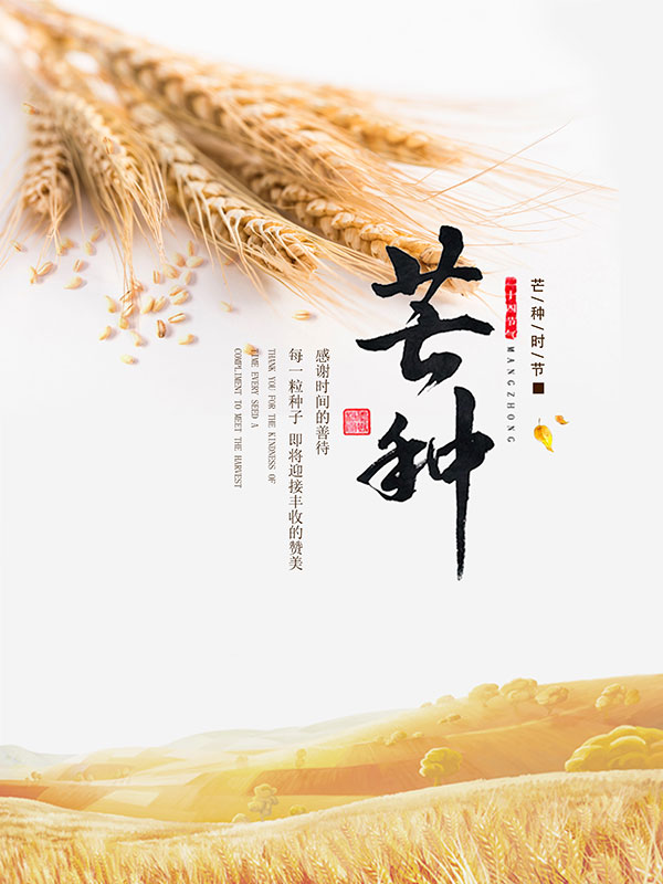简约风格芒种节气海报设计