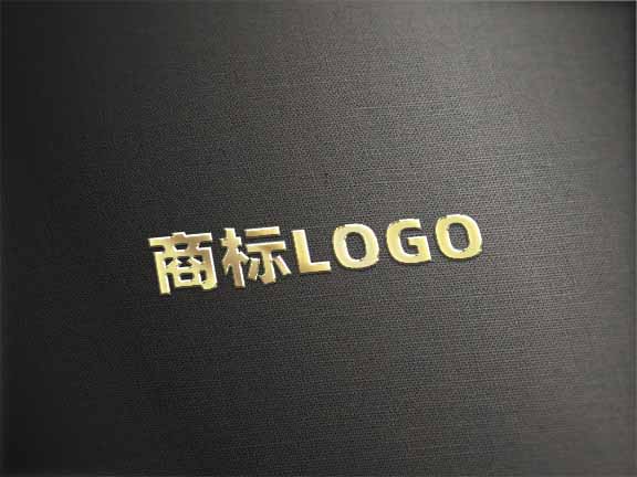 LOGO效果图样机